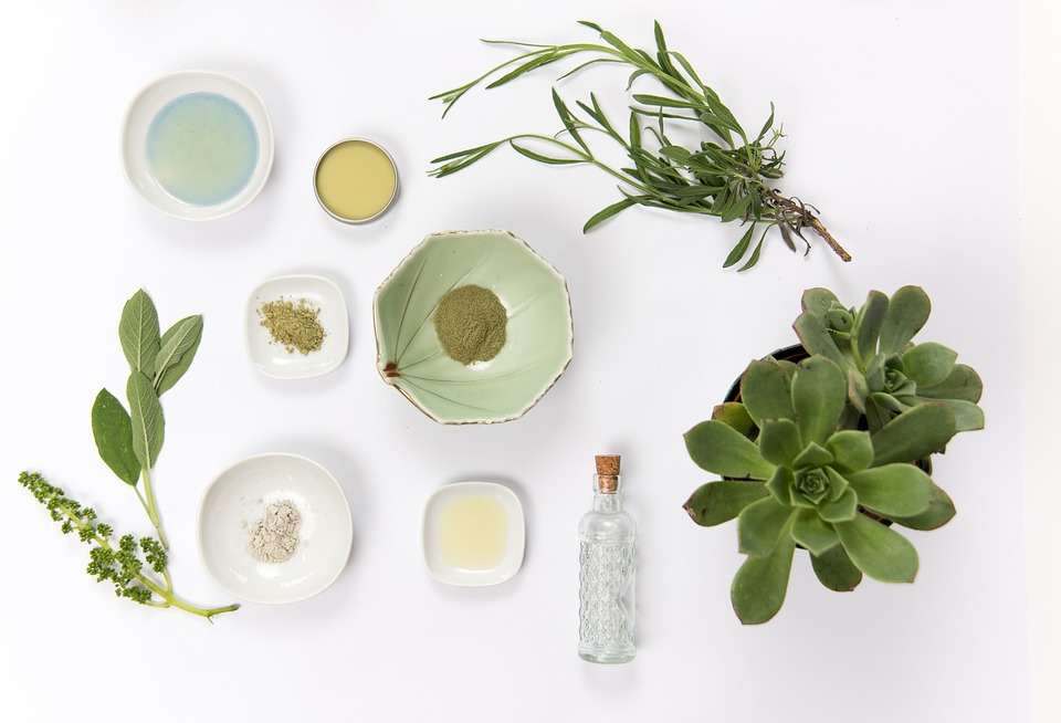 Nutrtionists at Starkel Nutrition Share Their Favorite Products