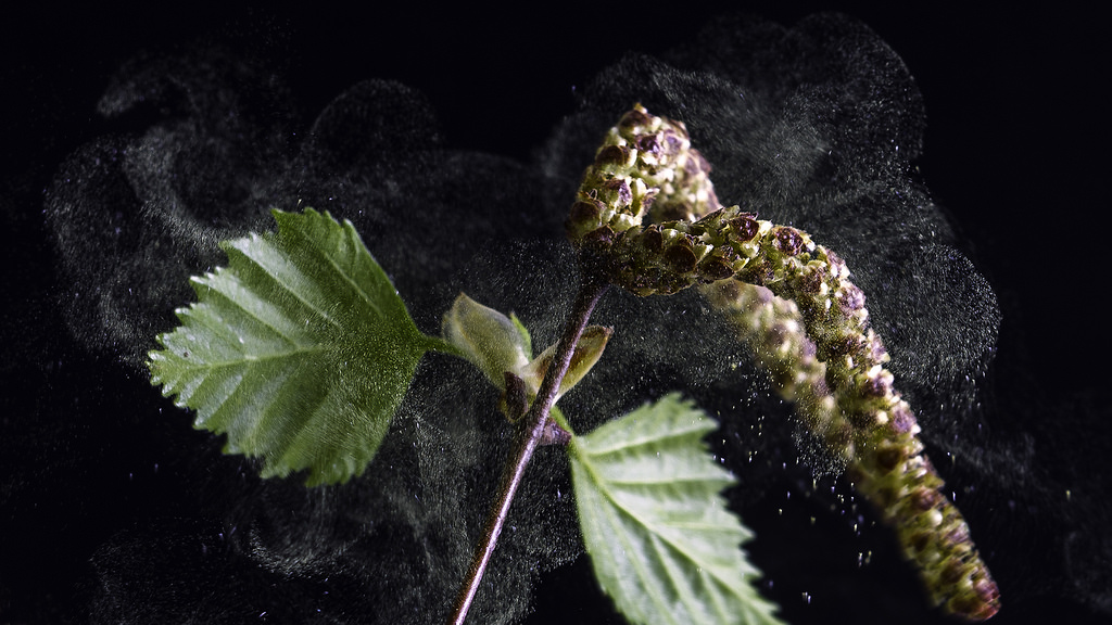 Living with Allergies