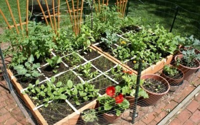 Spring Garden Planning