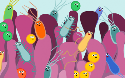 A Diverse Gut Microbiome is Linked to Lower Weight in Individuals