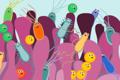 microbiota