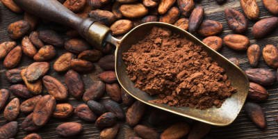 cacao-pic