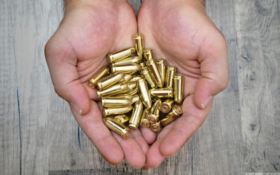 Lead Poisoning in the Pacific Northwest Heavy Metal Toxicity: Part 2