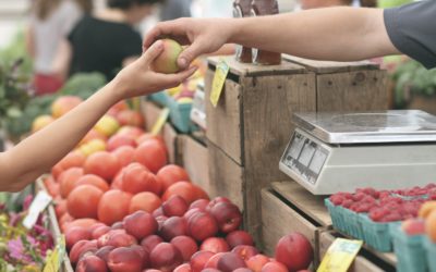 Experience Seattle’s Farmers Markets August is ripe with produce options!