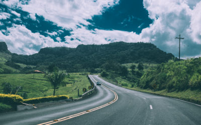 Tell those Heavy Metals to Hit the Road! Heavy Metal Toxicity: Part 5