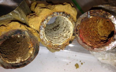 The Dangers of Lead Poisoning