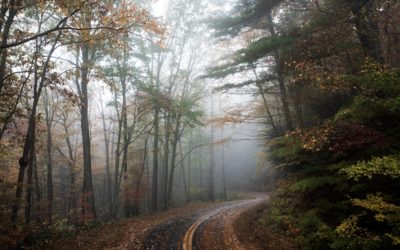 It’s STEPtember! A Little Motivation to Get you Stepping Out This Fall