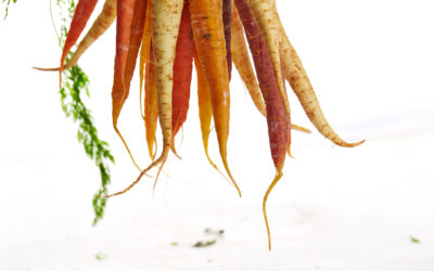 Add Some Color to Your Winter Menus With Root Veggies