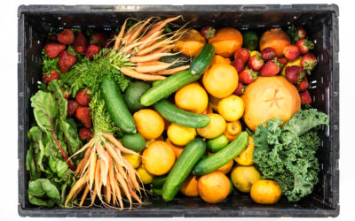 Fresh produce Rx for low-income households?