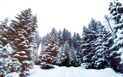 Getting Through The Darker Days of Winter