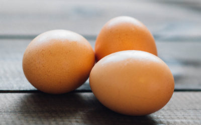 Protein Needs for the Elderly