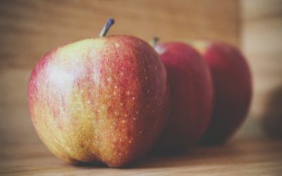 Eat the Seasons: February’s Finest Seasonal Produce from Washington
