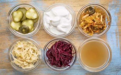 The Promise In Probiotics: Part I