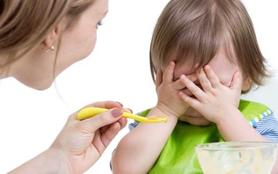 Nourishing a Picky Eater