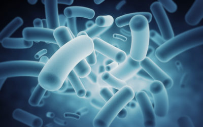 It All Starts in the Gut: Getting to the Bottom of Your Autoimmune Condition