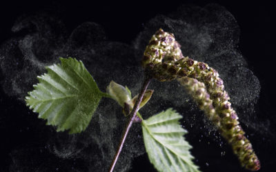 Living with Allergies