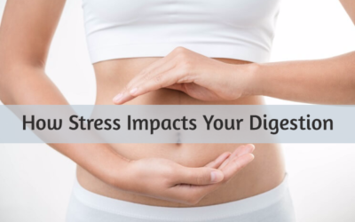 Stress, Cortisol, and the Digestive System