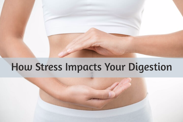 Stress, Cortisol, and the Digestive System