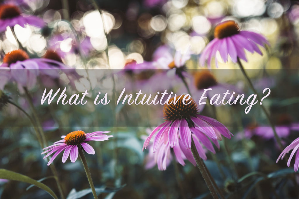 intuitive eating starkel nutrition seattle nutritionist