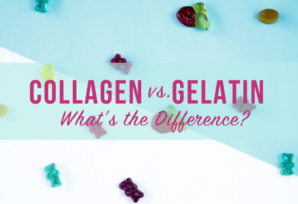 Collagen vs. Gelatin What is the Difference? Starkel Nutrition