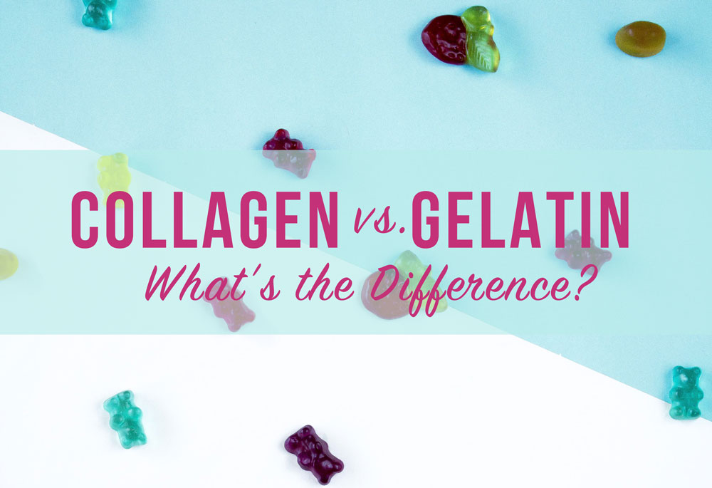 starkel nutrition collagen vs gelatin difference protein gummies
