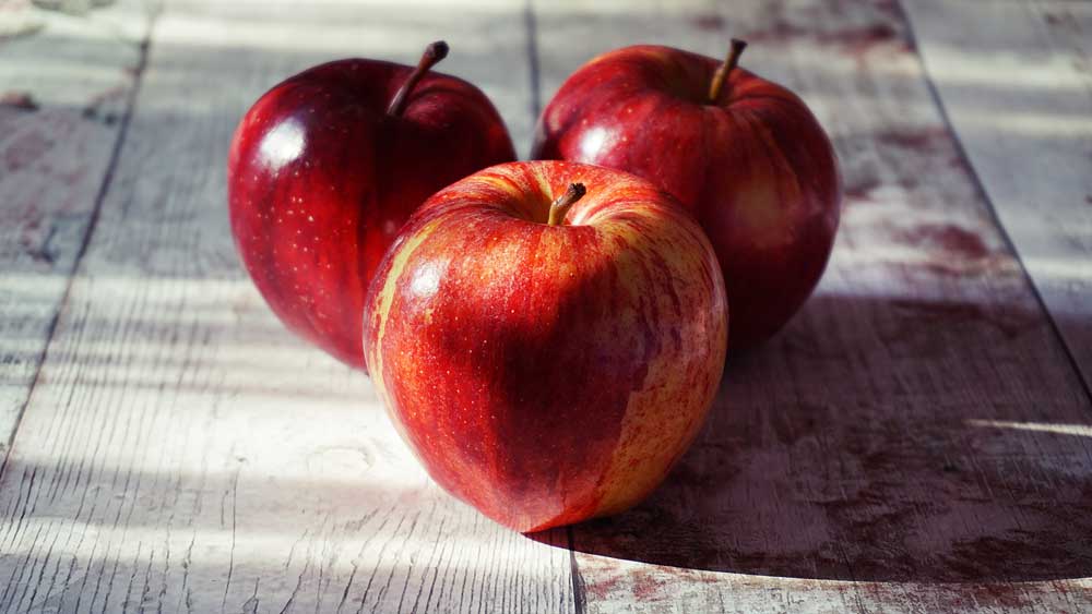 starkel nutrition getting to the-core of the apple seattle nutritionists