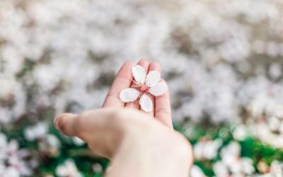Tips For Supporting Yourself In Cancer Treatment