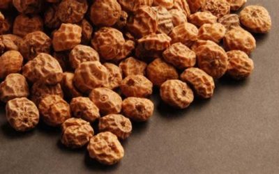 Is Tiger Nut A Nut?