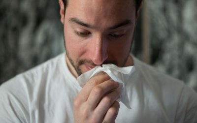 Spring Allergies A Case Study