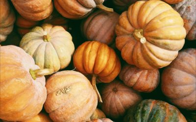 Perfectly Pumpkin