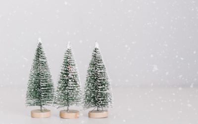 Be Wise in Your Body this Holiday Season A Word From Rooted Path Nutrition & Eating Disorders