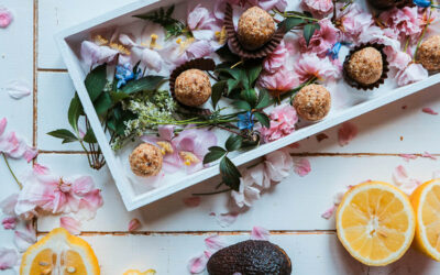 Coconut Oat Energy Bites