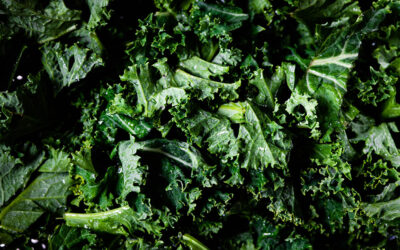 Massaged Kale Salad with Citrus and Pomegranate